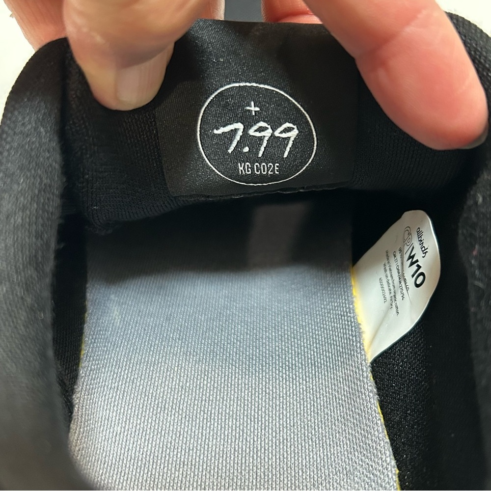 Allbirds Canvas Pacer Sneakers - 10 - Picture 11 of 13